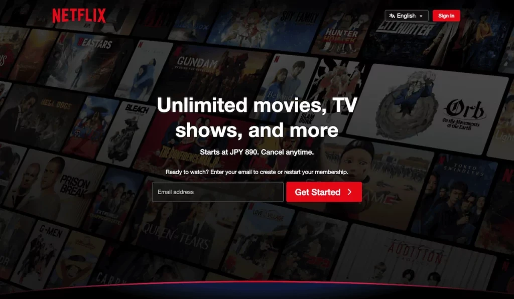 Netflix 网站。