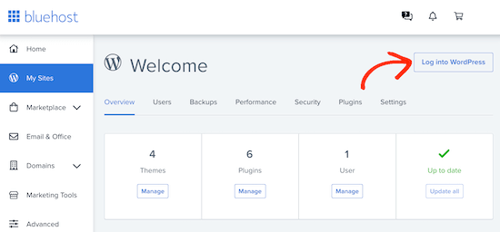登录您的新 WordPress 网站