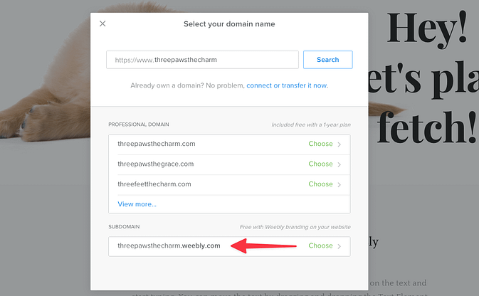 Weebly 站点名称