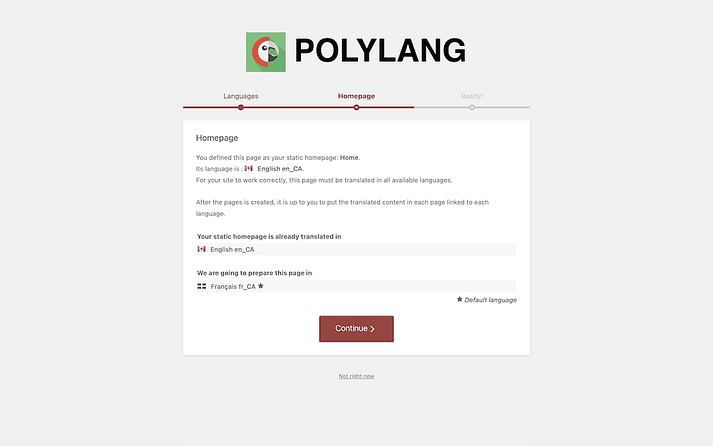 Polylanf 载入向导显示有关主页翻译的信息。