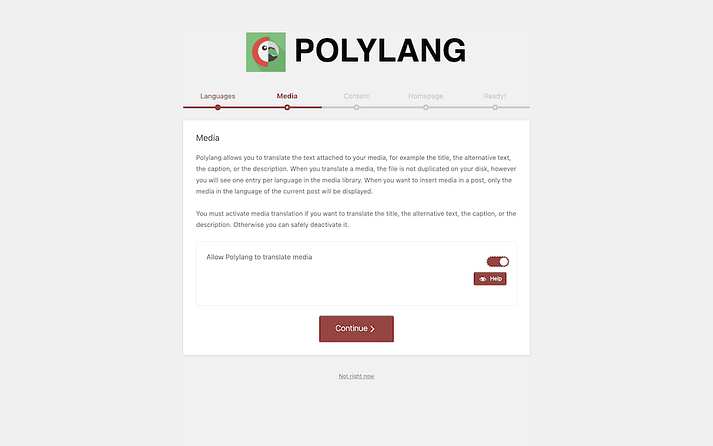 显示媒体屏幕的 Polylang 载入向导。