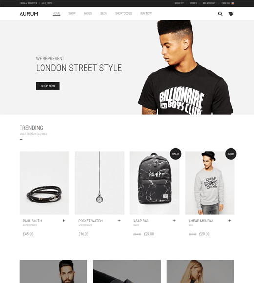 Aurum - Simple WordPress Themes
