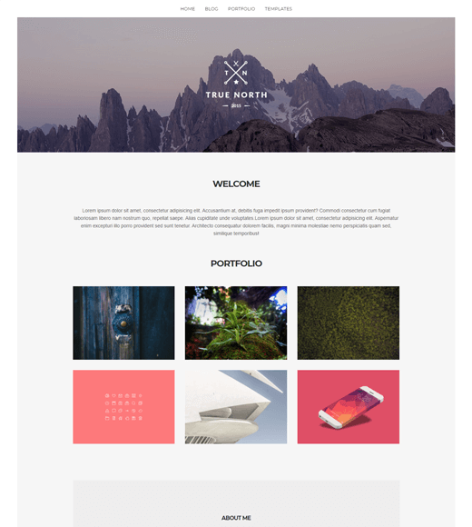 True North - Simple WordPress Themes