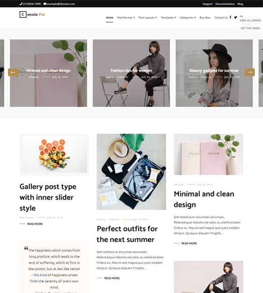 Cenote Simple WordPress Themes