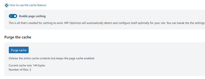 删除 WordPress 缓存。