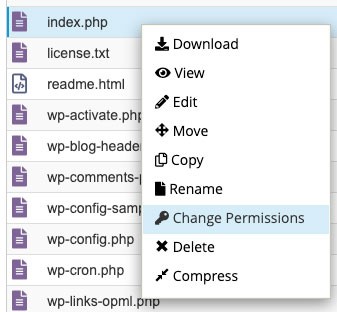 更改 cPanel 文件管理器中的权限