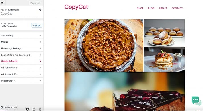你好，Elementor 主题评测：自定义选项。