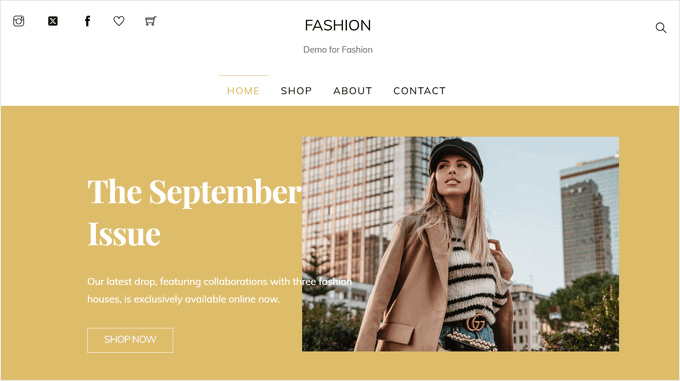 Shoppe WordPress 主题
