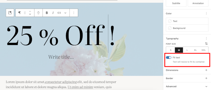 块设置中的 Fit Text 排版选项