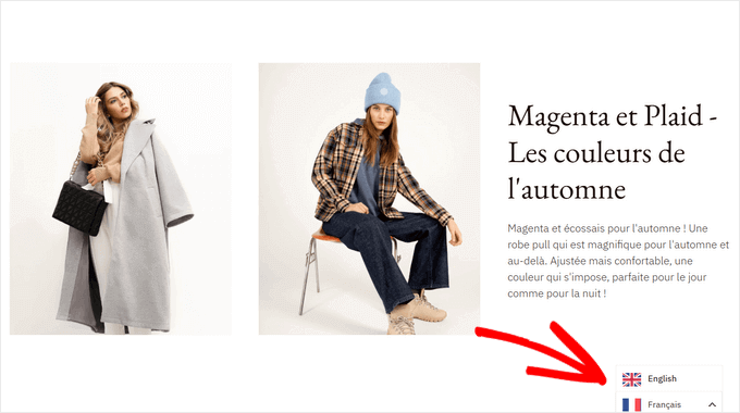 Translated WooCommerce store using Weglot 使用 Weglot 翻译的 WooCommerce 商店