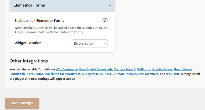 Elementor上的启用表单。