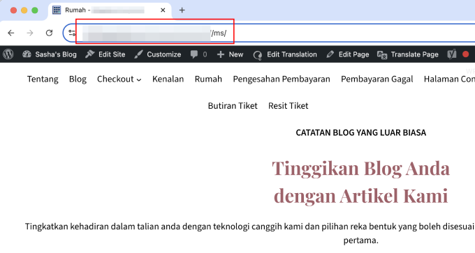WPML 语言子目录