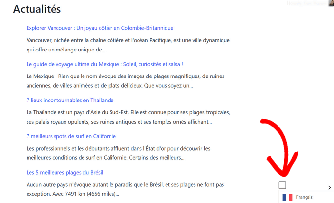 点击语言切换器，查看你WordPress网站上的翻译