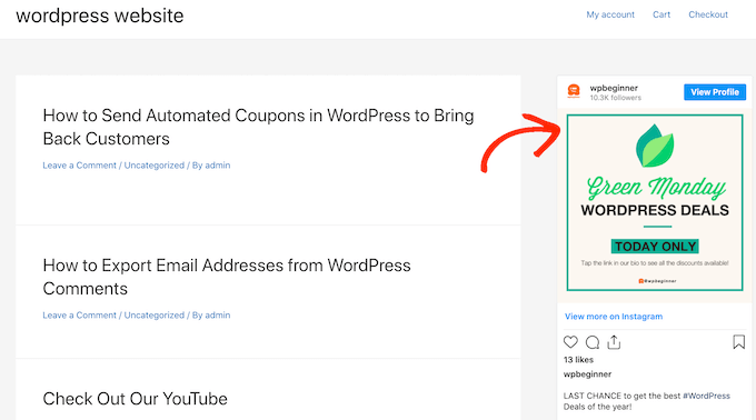 将Instagram帖子添加到面向小部件的区域，比如WordPress侧边栏